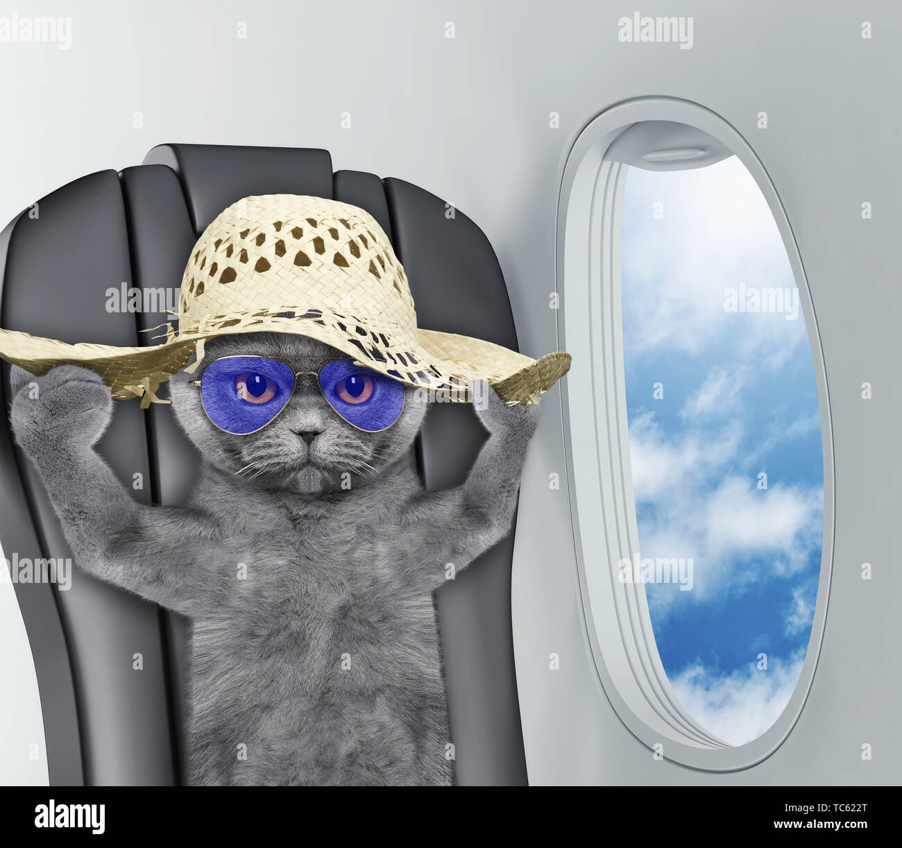 Süße Katze im Hut an Bord von Flugzeug Stockfotografie - Alamy