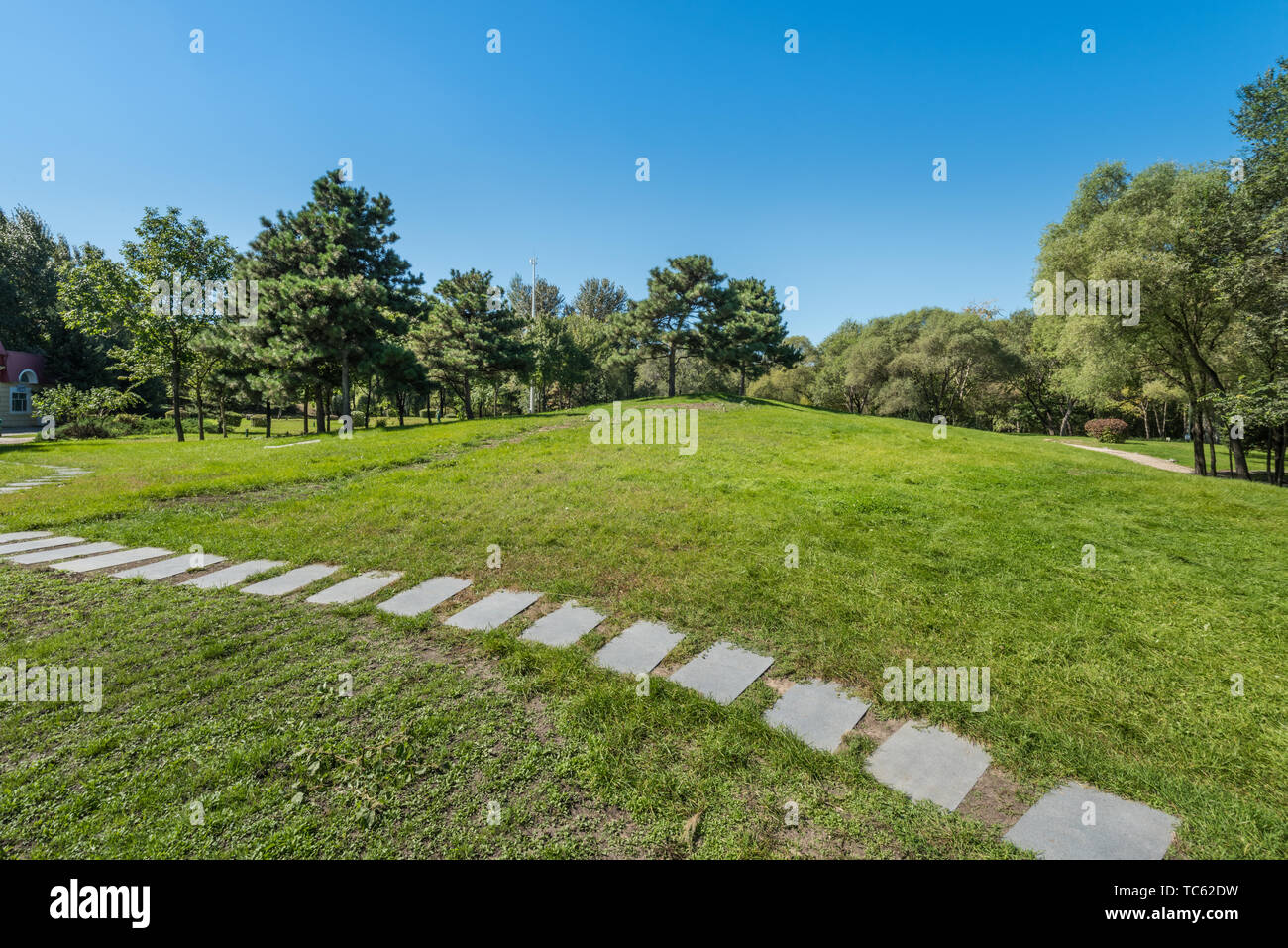 Wald, Wiese, Straße, Sun Island Scenic Area, Herbst sonniger Tag, Harbin, China Stockfoto