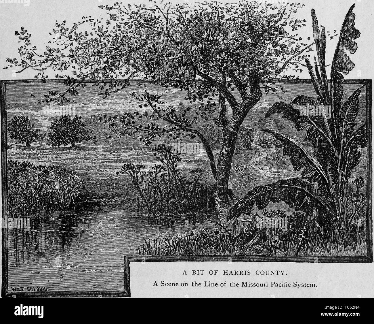 Graviert Szene des Missouri Pacific System, Harris County, Texas, aus dem Buch "Der Stadt Houston' von Andrew Morrison, 1890. Mit freundlicher Genehmigung Internet Archive. () Stockfoto