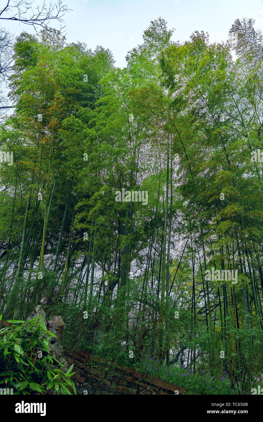 Huqiu Mountain Scenic Area, Suzhou Stockfoto
