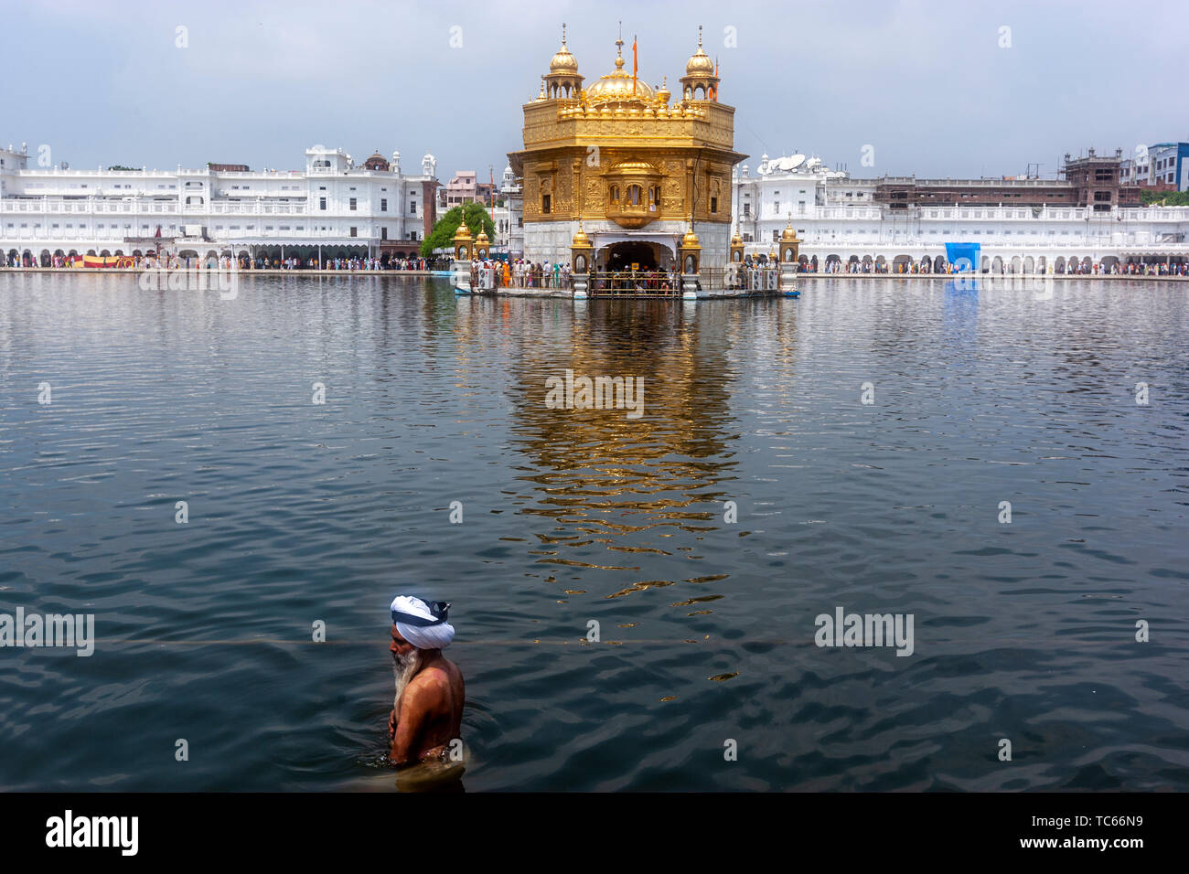 Sikh Pilger. Einige Sikh ein Sprung in den Pool. Die harmandar Sahib, Golden Temple, Amritsar, Punjab, Indien Stockfoto