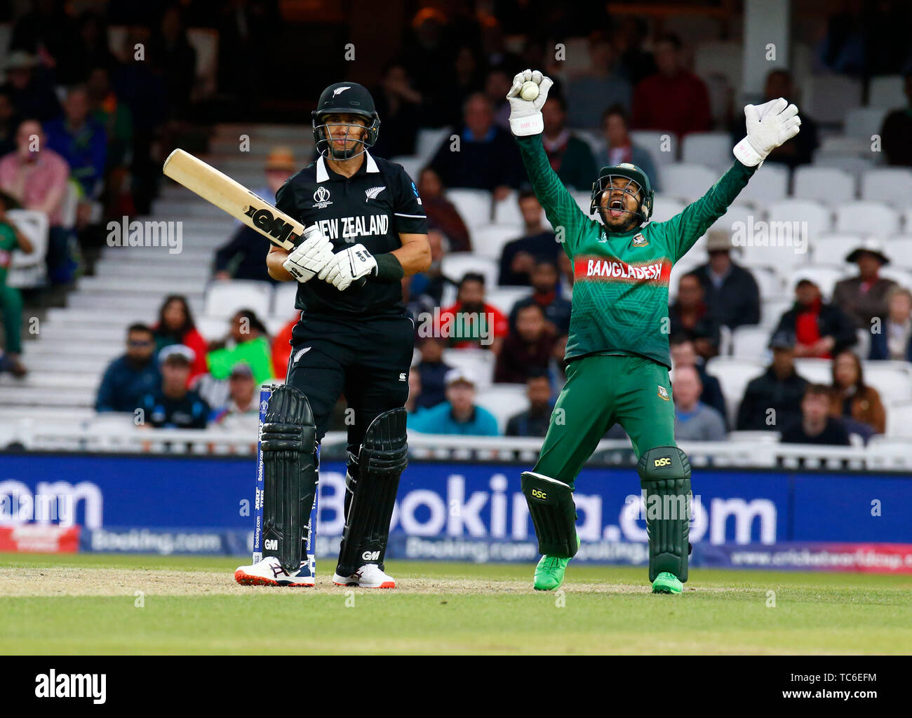 London, Großbritannien. 05 Juni, 2019. LONDON, England. Juni 05: Mushfiqur Rahim von Bangladesch feiern Fang von Ross Taylor von Neuseeland und von Mosaddek Hossain von Bangladesch während der ICC Cricket World Cup zwischen Bangladesch und Neuseeland am Oval Stadium am 05. Juni 2019 in London, England gerollt. Credit: Aktion Foto Sport/Alamy leben Nachrichten Stockfoto