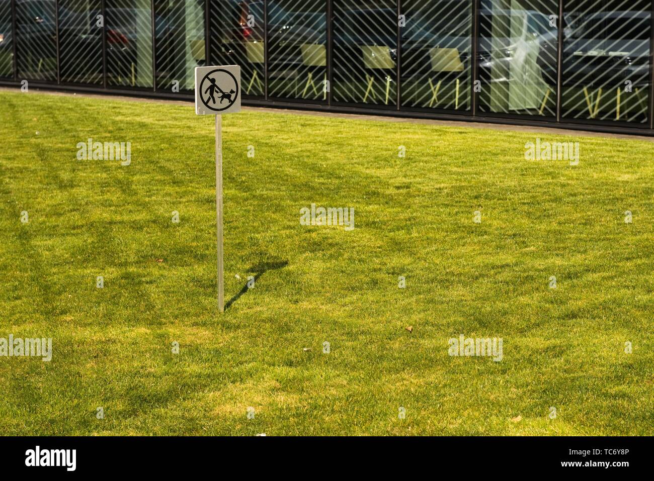 Schild Hunde nur Verbotsschild für Hunde verboten. Stockfoto