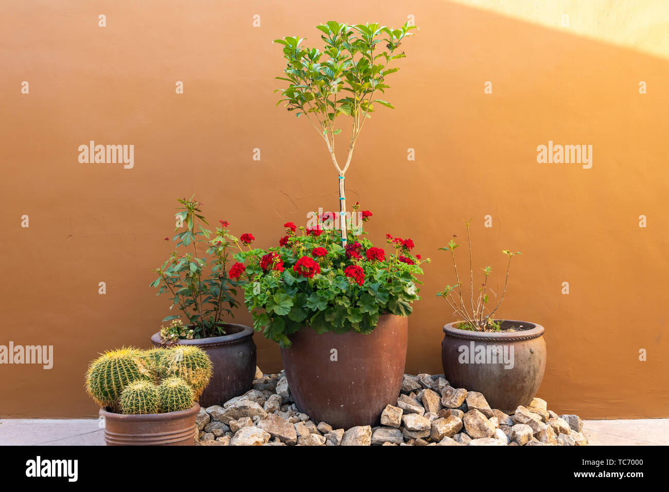 Dekorative Töpfe und Pflanzen in der El Paseo Shoppingviertel in Palm Desert, Kalifornien, USA. Stockfoto
