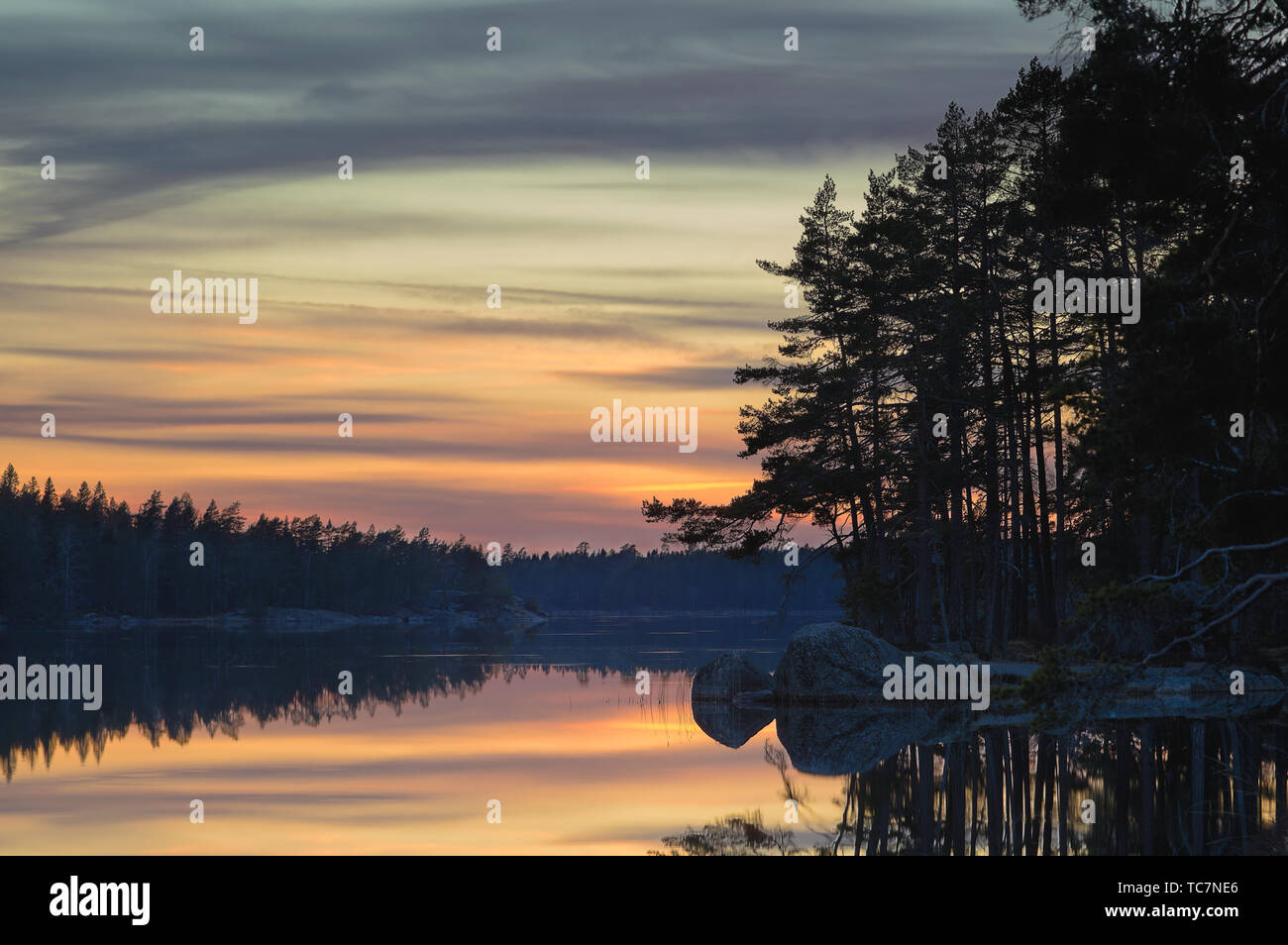 Tiveden Nationalpark in Schweden Stockfoto