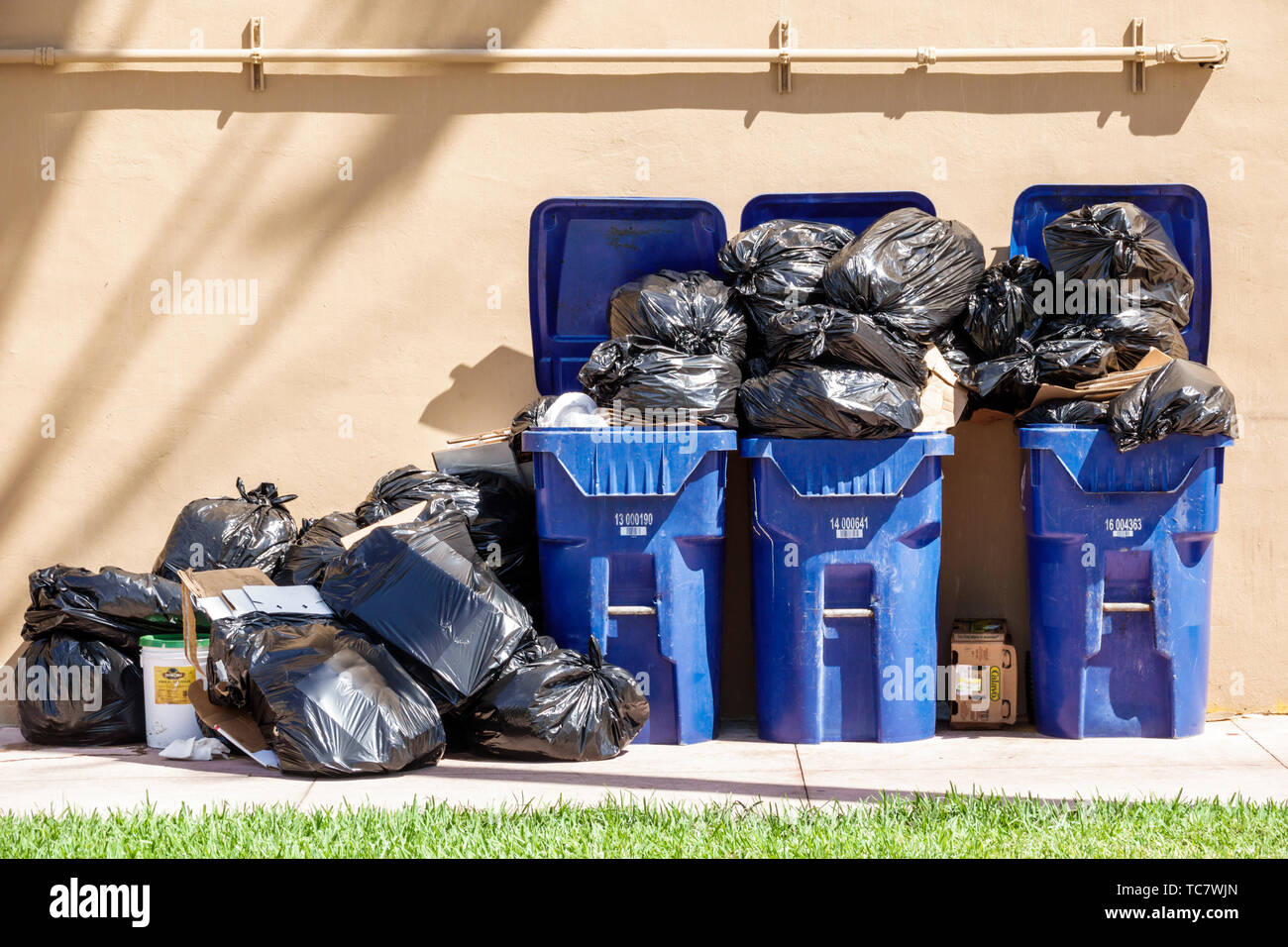 Miami Beach Florida, North Beach, Mülleimer Kanister Behälter Schwarze Plastiktüten, überlastet, Überlauf, FL190430029 Stockfoto