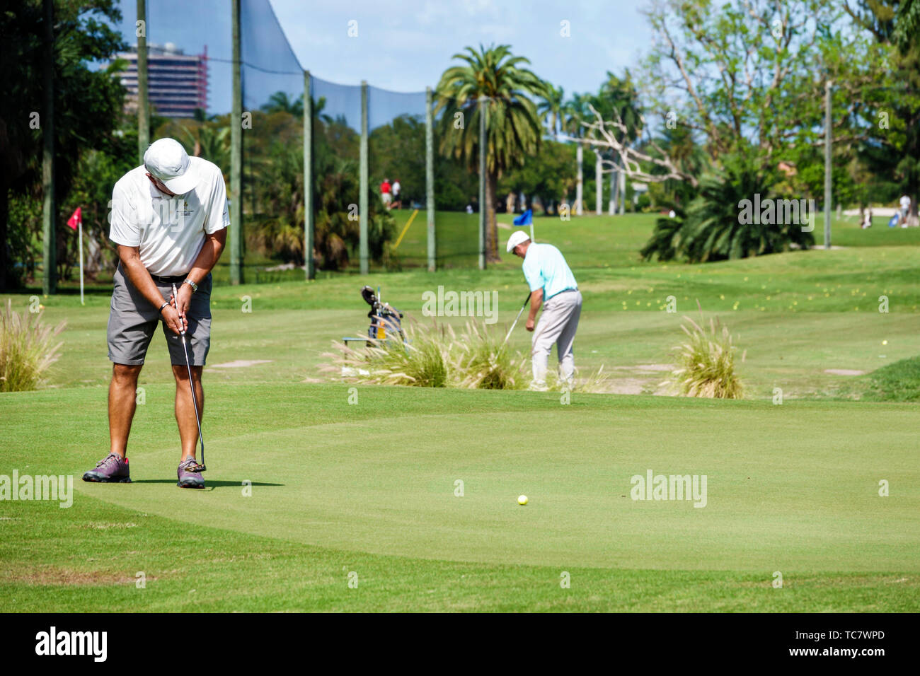 Miami Beach, Florida, Normandy Shores, öffentlicher Golfplatz, Erwachsene Erwachsene, Männer, Golfer, Putting Green üben, Besucher reisen unterwegs Stockfoto