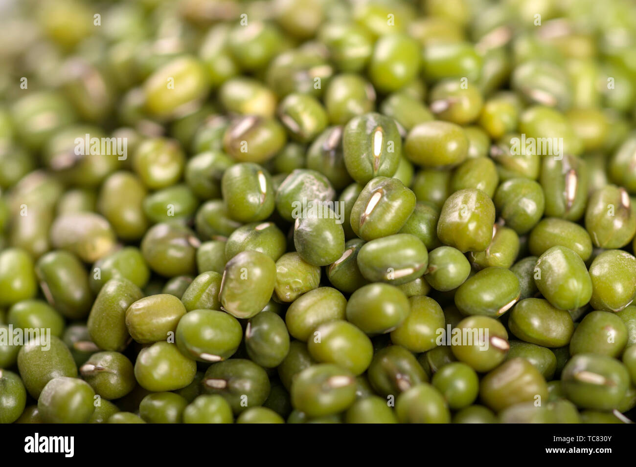 Grüne Bohnensuppe Stockfoto