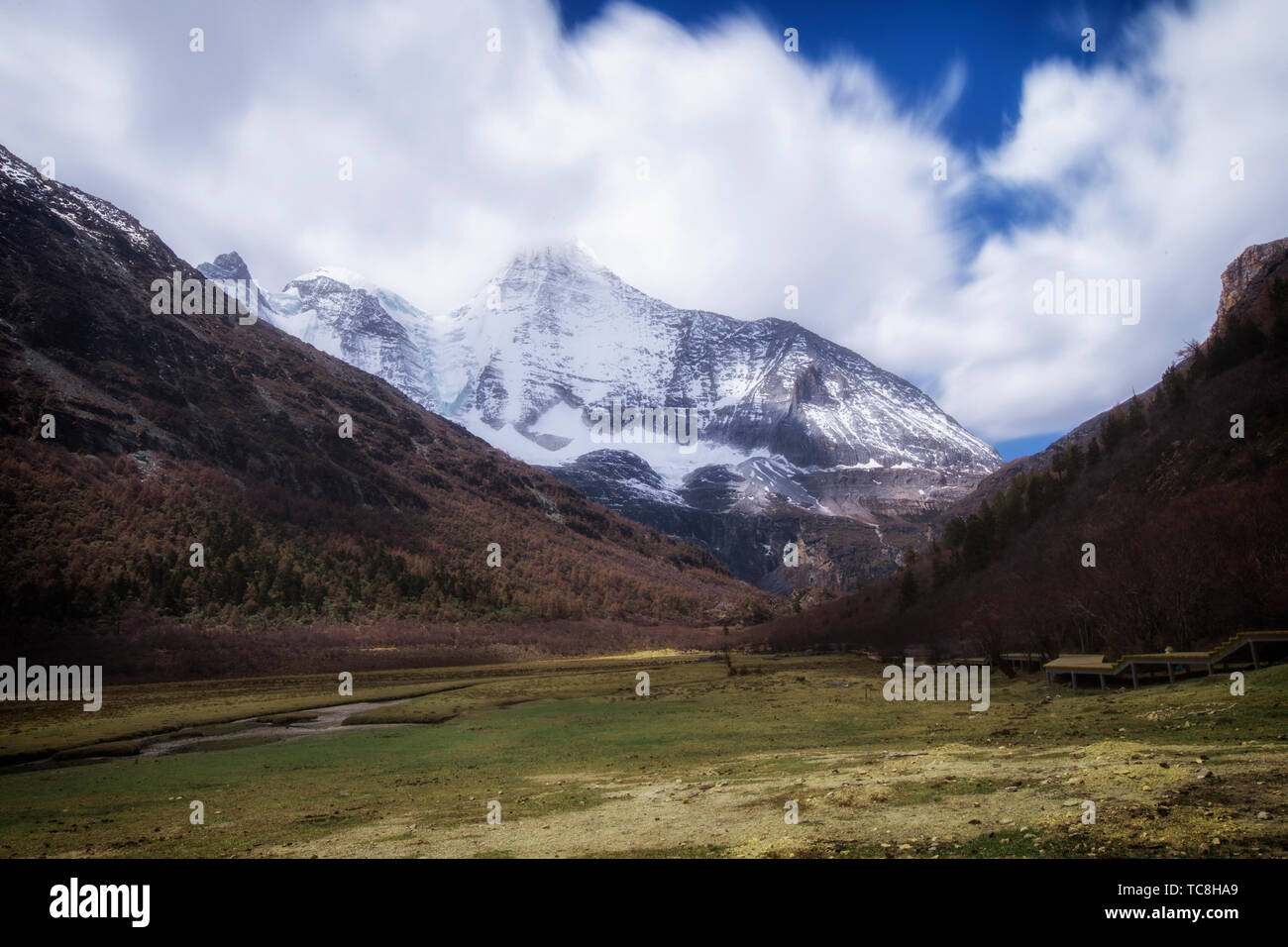 Taocheng Shenshan Stockfoto
