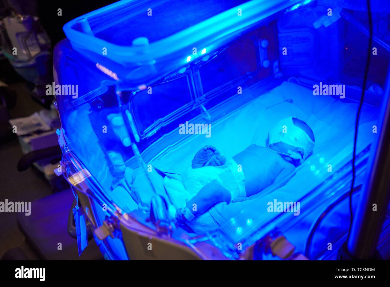 Baby im Inkubator, Fototherapie, Neonatologie Pädiatrie, Medizinische Versorgung, Neugeborene, Intensivstation, UVI, Intensivstation, Krankenhaus Donostia, San Sebastian, Stockfoto