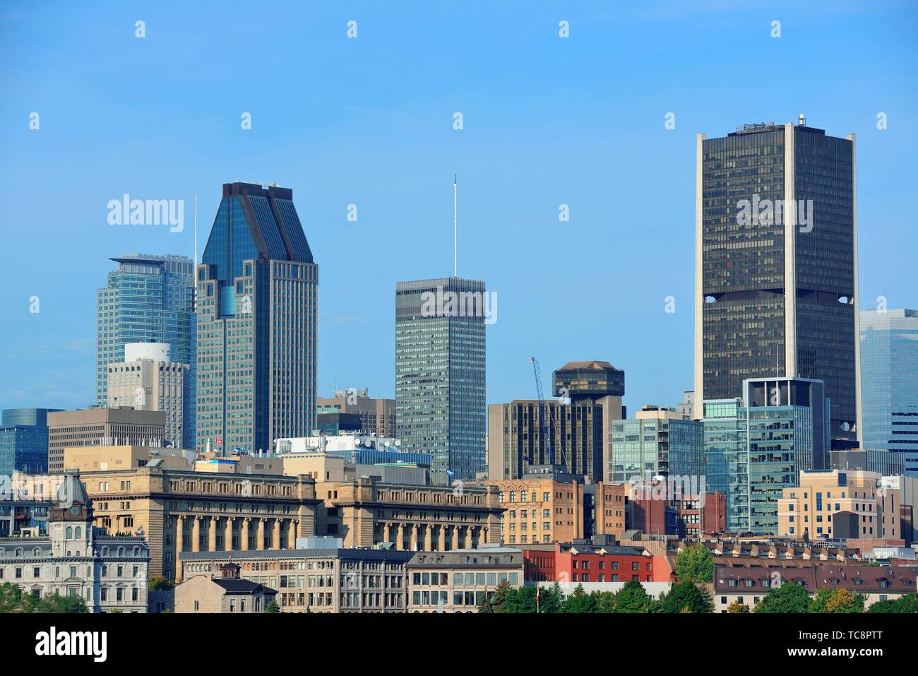 Skyline von Montreal in den Tag mit städtischen Gebäuden Stockfoto