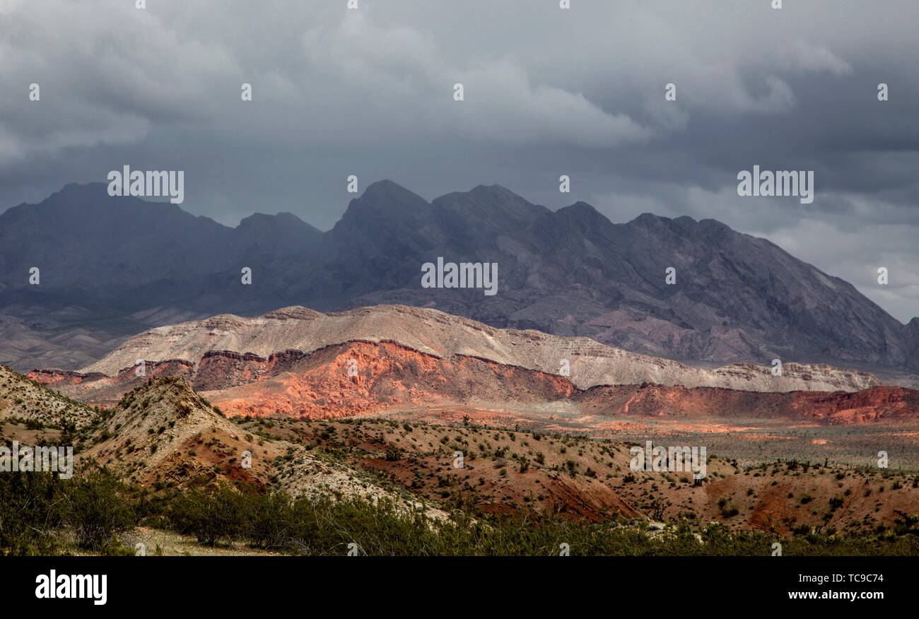 Sandstein Felsformationen und Wüste flora Make up Gold Butte National Monument in Nevada. Stockfoto