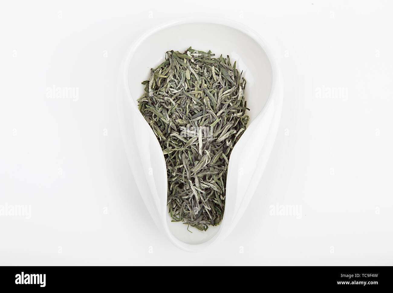 Spezielle hochwertige einzelne Knospe vor Mao Jian in Xinyang Stockfoto