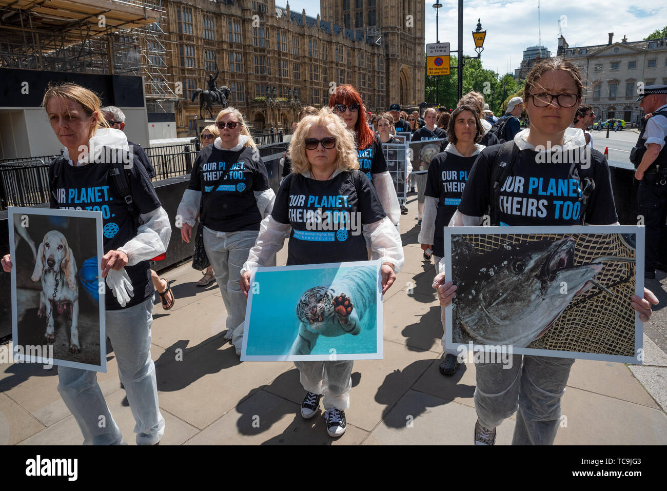 London, Großbritannien. 2. Juni 2019. Die nationalen Rechte der Tiere Tag (NARD) London. Chr. war auch weltweit in 29 anderen Städten, mit dem Ziel, eine Stimme zu geben, alle Tiere und das Bewusstsein für ihre Rechte zu beachten. Betroffenen Aktivisten in Victoria Tower Gardens met und marschierten die kurze Entfernung zu den Parliament Square. Gibt es eine emotionale Trauerfeier statt, für die Milliarden von Tieren, die jedes Jahr durch die Hände der Menschen sterben, und enthalten einige der tatsächlichen Opfer. Organisiert von unserem Planeten Ihr auch. Credit: Stephen Bell/Alamy. Stockfoto