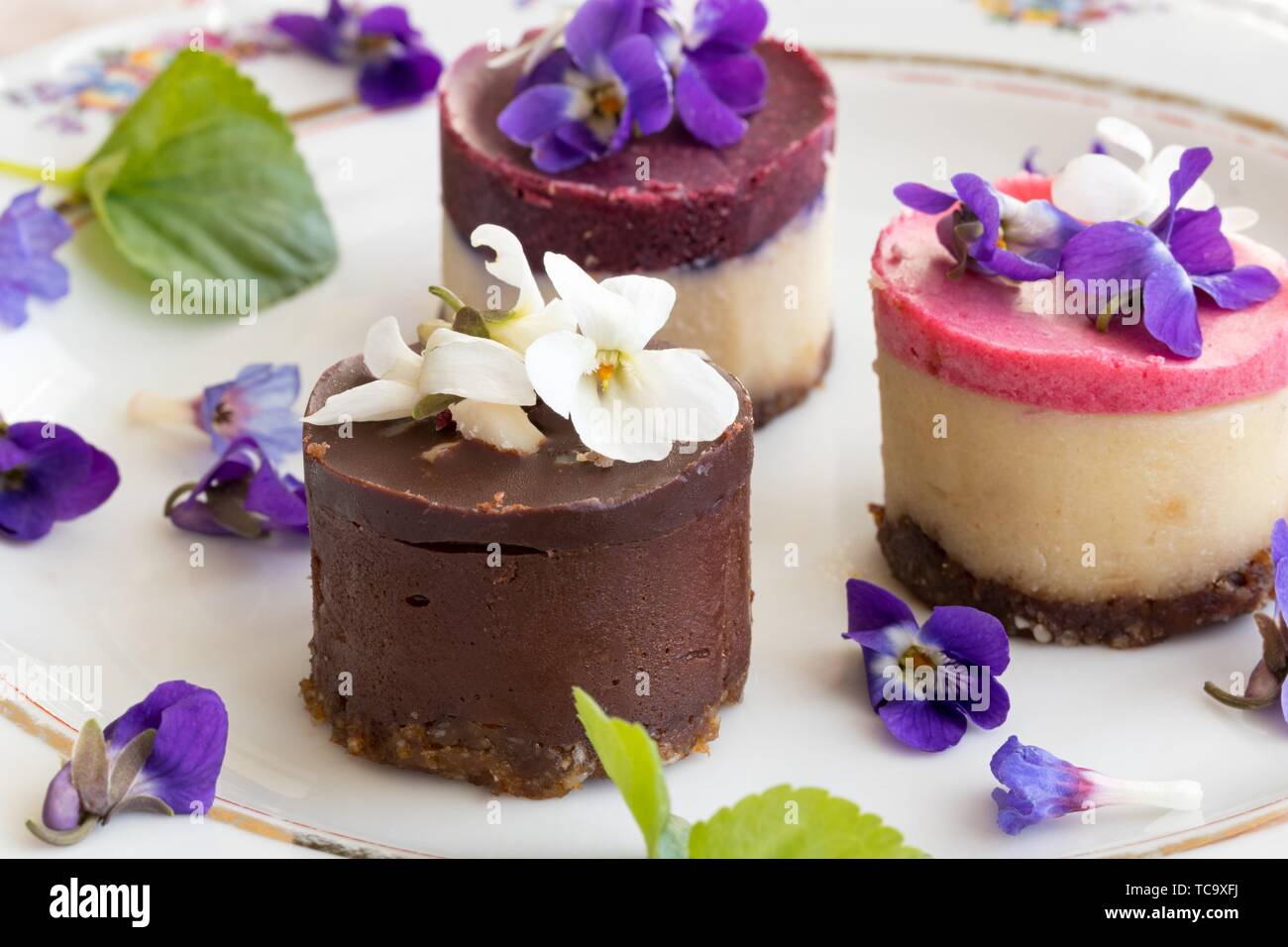 Raw vegan Desserts auf einem Teller mit frischen Violett und lungenkraut Blumen. Stockfoto