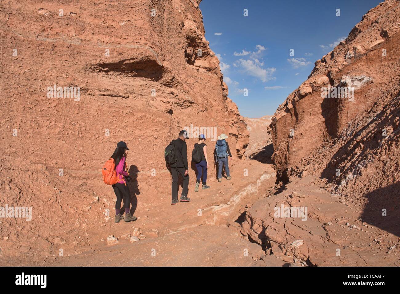 Trekking durch die Wüste Landschaft im Moon Valley, San Pedro de Atacama, Chile. Stockfoto