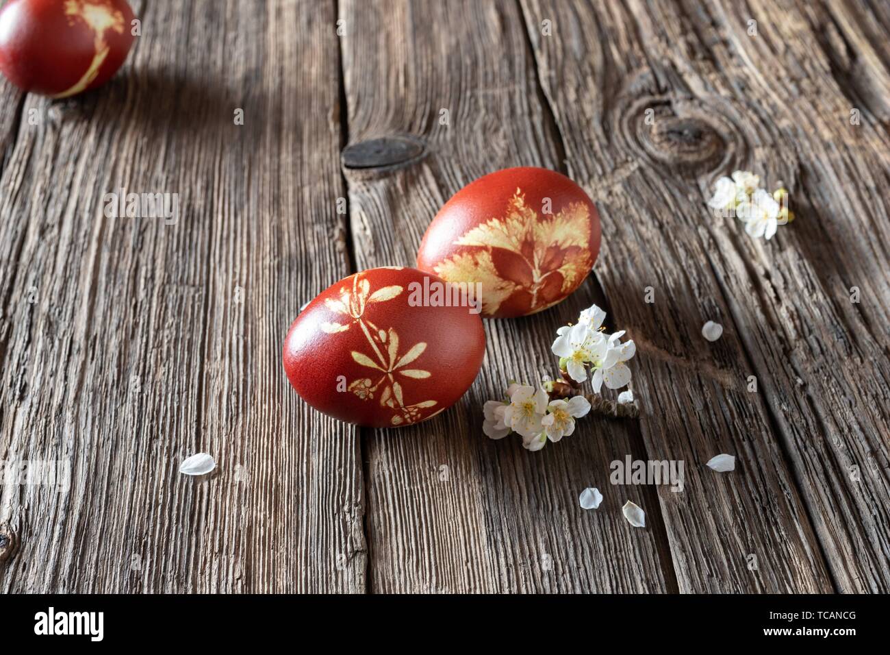 Dyed Flower Stockfotos und -bilder Kaufen - Alamy