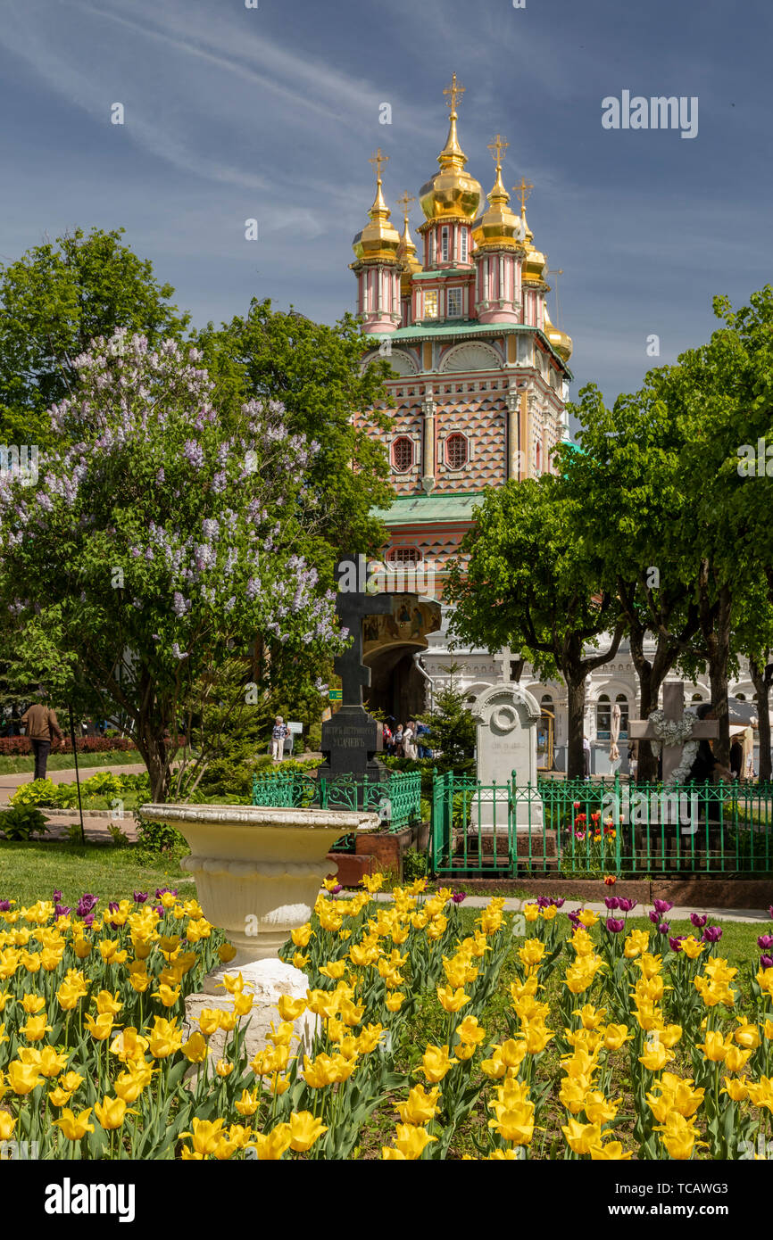 Tulpen vor Kloster Kirche des Hl. Johannes des Täufers, Sergiev Posad, Russland Stockfoto
