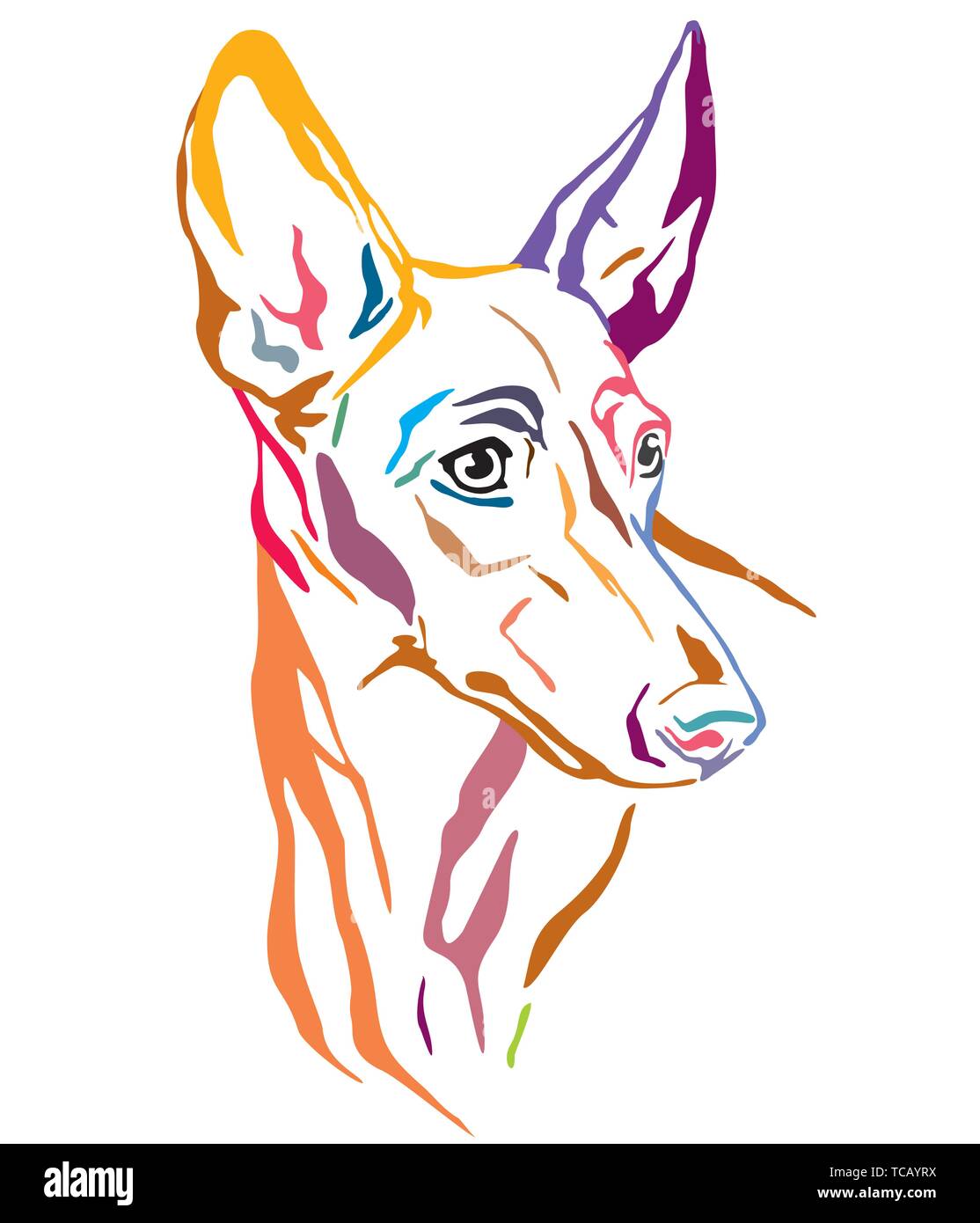 Bunt dekorativ Übersicht Porträt der Cirneco dell'Etna Hunde im Profil suchen, Vector Illustration in verschiedenen Farben auf weißem Hintergrund Stock Vektor