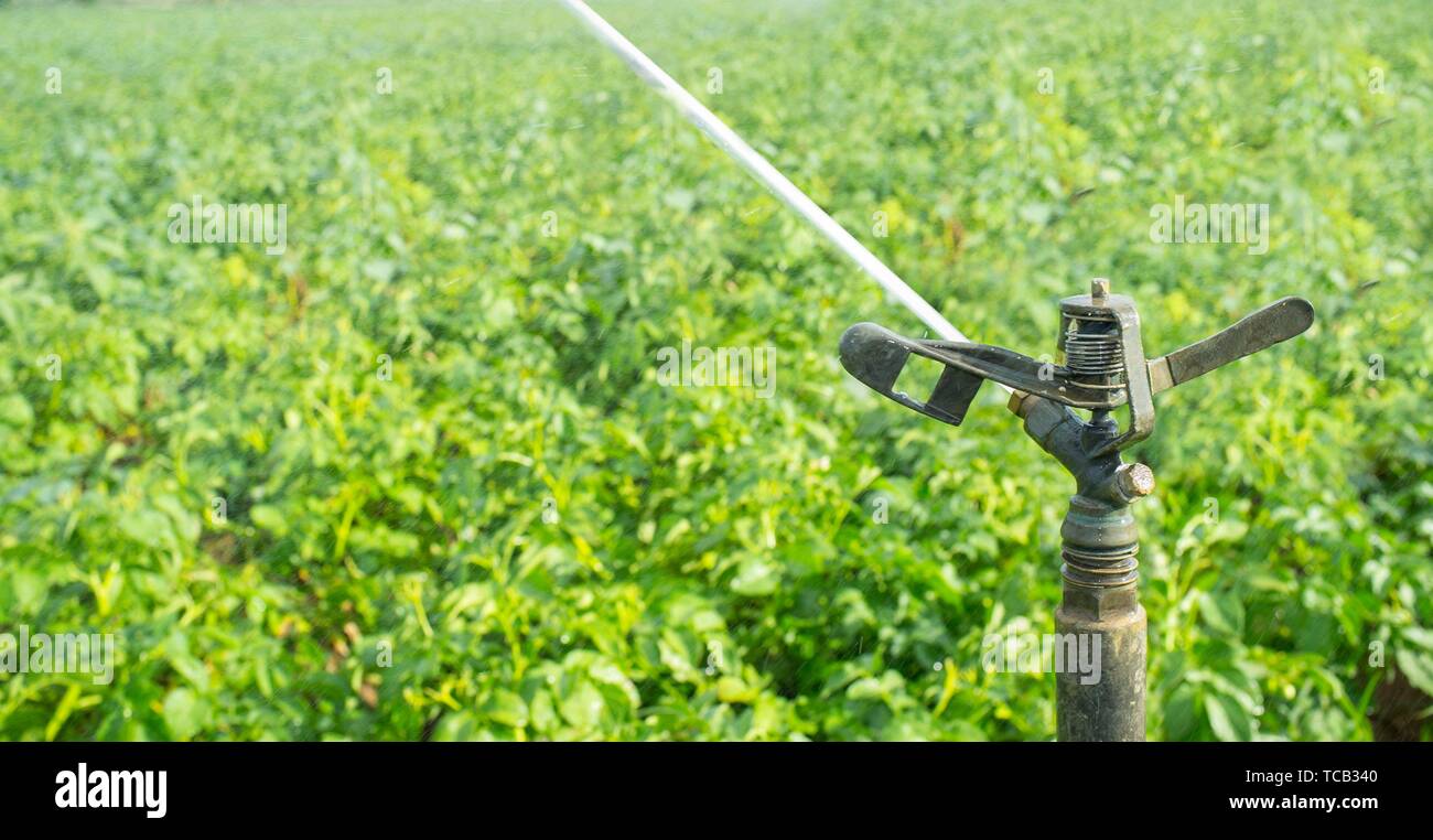 Der Kreis Auswirkungen Sprinklerschutz bei der Arbeit über grüne Feld. Guadiana Wiesen, Extremadura, Spanien. Stockfoto