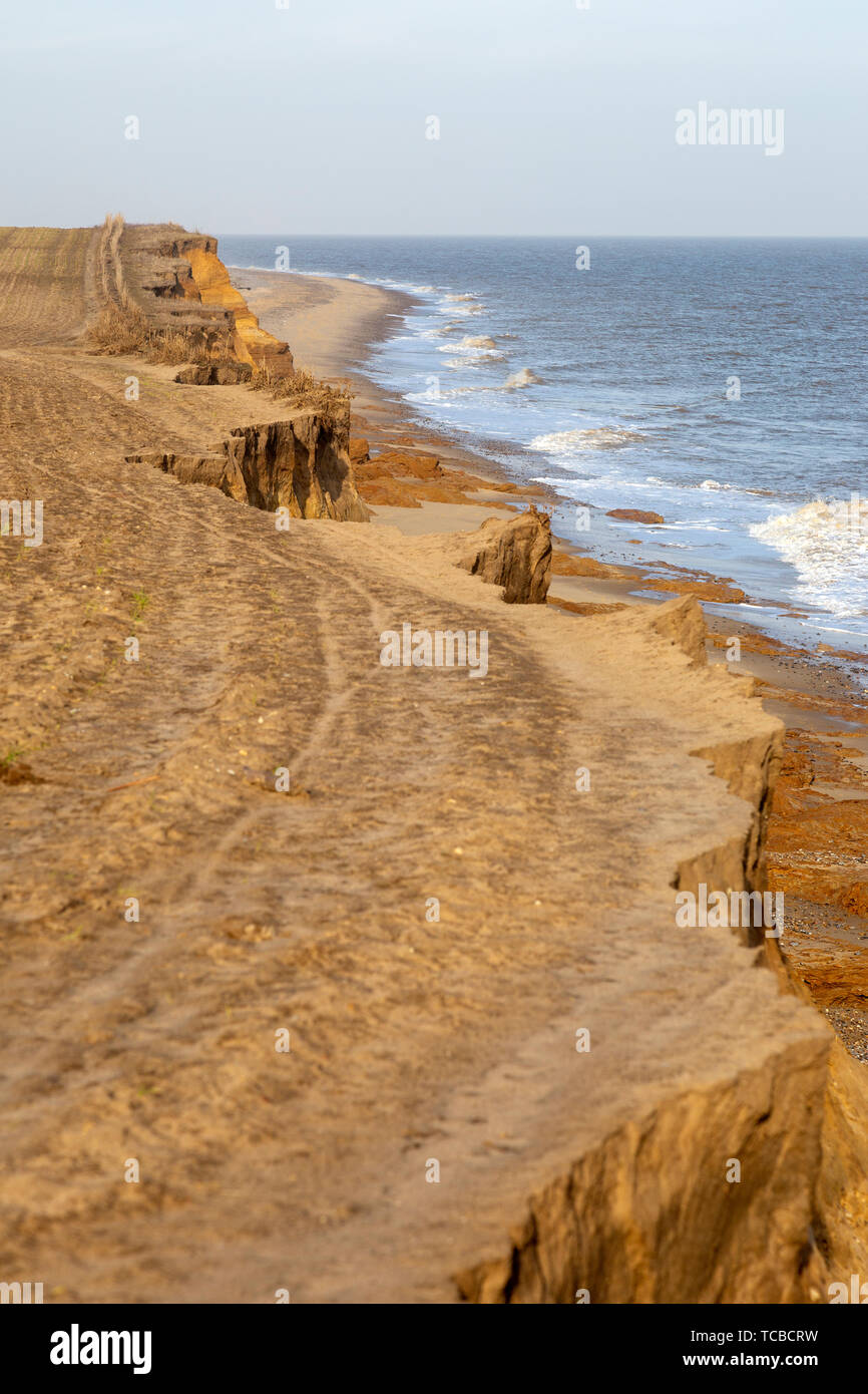Weiche bröckelnden Cliffs die Erosion der Küsten in der Nähe von Benacre, Nordseeküste, Suffolk, England, Großbritannien Stockfoto