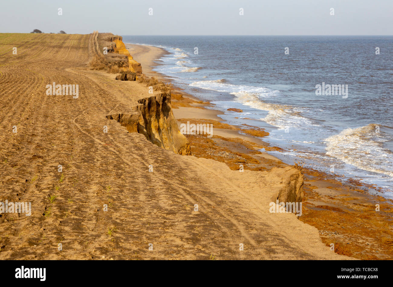Weiche bröckelnden Cliffs die Erosion der Küsten in der Nähe von Benacre, Nordseeküste, Suffolk, England, Großbritannien Stockfoto
