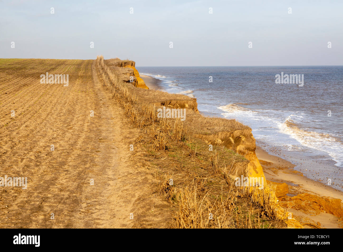Weiche bröckelnden Cliffs die Erosion der Küsten in der Nähe von Benacre, Nordseeküste, Suffolk, England, Großbritannien Stockfoto