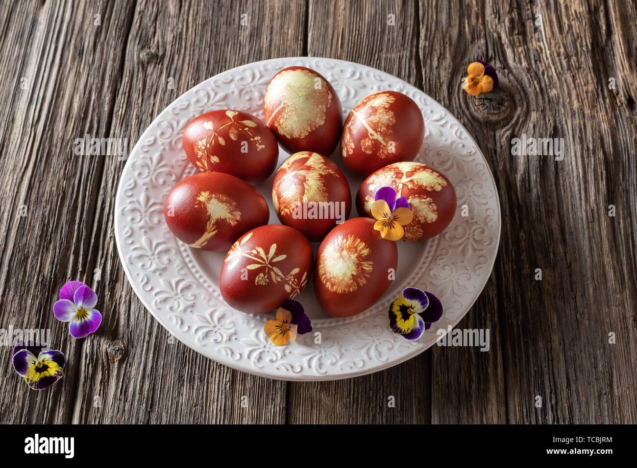 Dyed flower -Fotos und -Bildmaterial in hoher Auflösung – Alamy