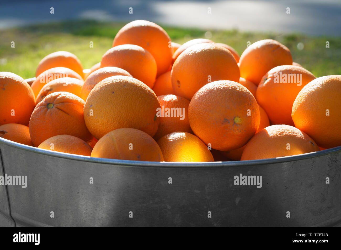 Orangen in verzinktem Metall Whirlpool Stockfoto