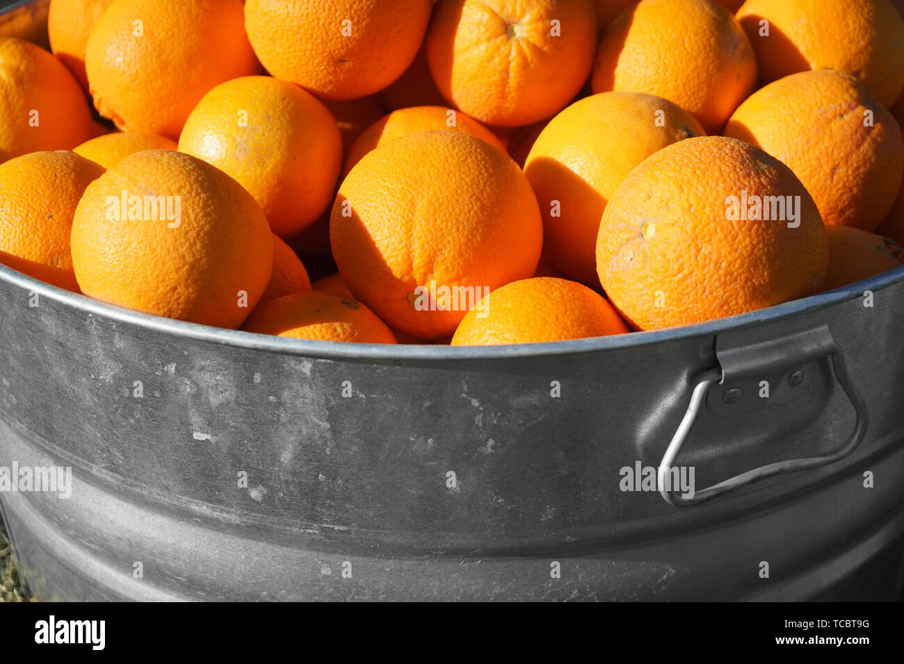 Orangen in verzinktem Metall Whirlpool Stockfoto