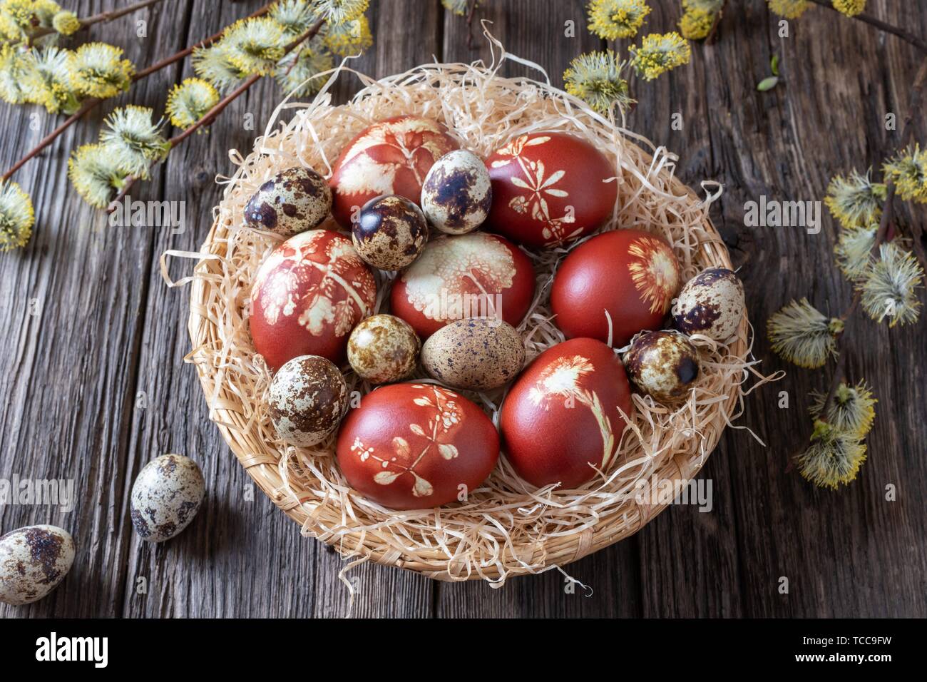 Korb weide -Fotos und -Bildmaterial in hoher Auflösung – Alamy