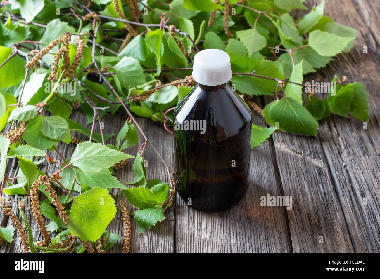 Eine Flasche Tinktur mit jungen Birken Branchen. Stockfoto