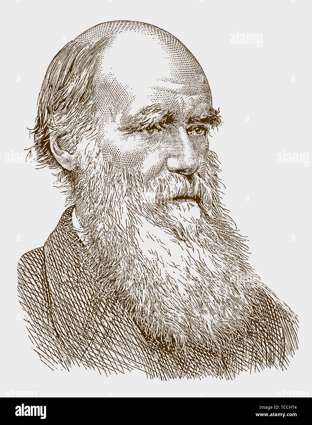 Historisches Porträt von Charles Darwin, dem berühmten Wissenschaftler mit langem Bart. Illustration nach einem Stich aus dem 19. Jahrhundert Stock Vektor