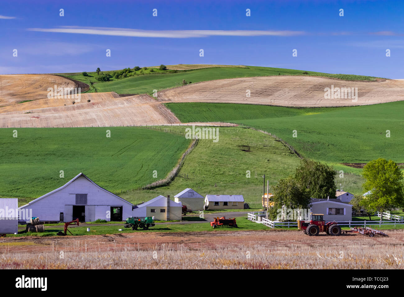Landwirtschaftliche Gebäude in den Hügeln in der Nähe von Grangeville, Idaho, USA. Stockfoto