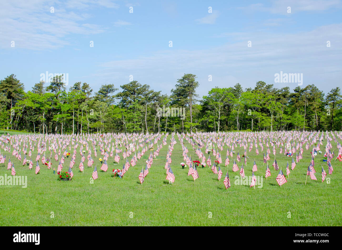 Memorial Day American Flags gesetzt auf Grabsteinen auf dem National Friedhof in Bourne, Cape Cod, Massachusetts, USA Stockfoto