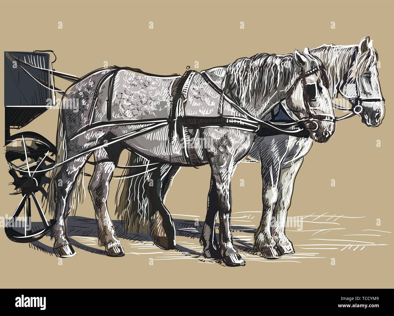 Vektor Handzeichnung bunte Illustration Pferd steht im Profil. Monochromen vector Skizze hand Zeichnung Abbildung auf beigen Hintergrund isoliert. Stock Vektor