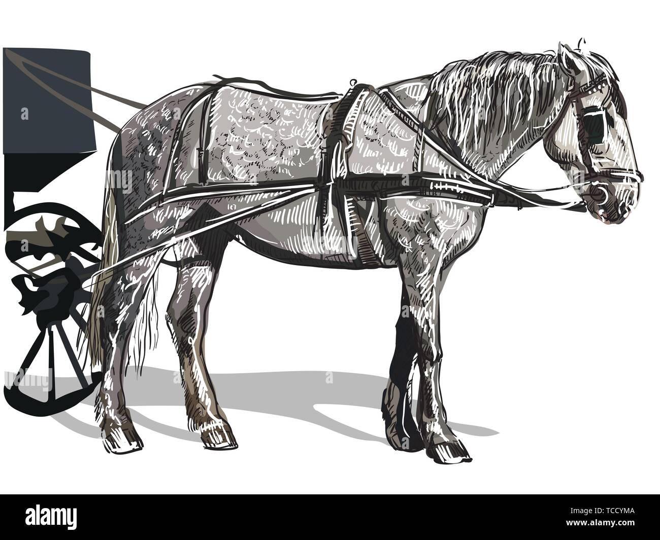 Vektor Handzeichnung bunte Illustration Pferd steht im Profil. Monochromen vector Skizze hand Zeichnung Abbildung auf weißem Hintergrund. Stock Vektor