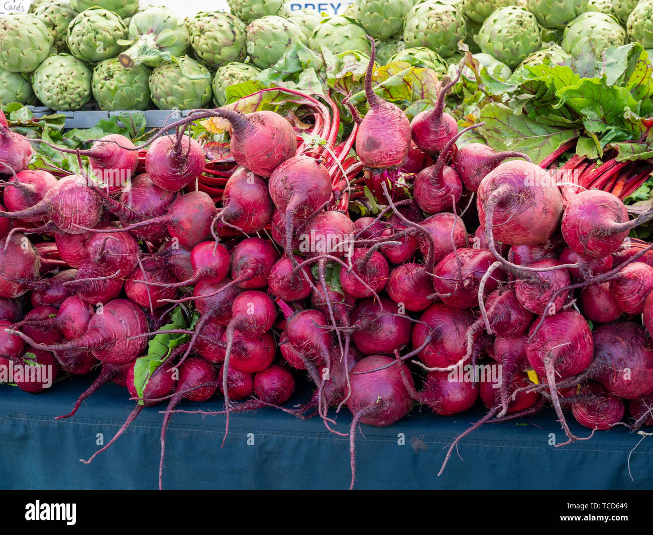 Reihen von Rüben Wurzelgemüse sitzen am Tisch bei Farmers Market Stockfoto