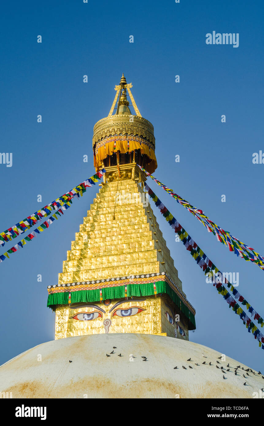 Die Kuppel und der Goldspire von Bodhnath Stupa, Kathmandu, Nepal Stockfoto
