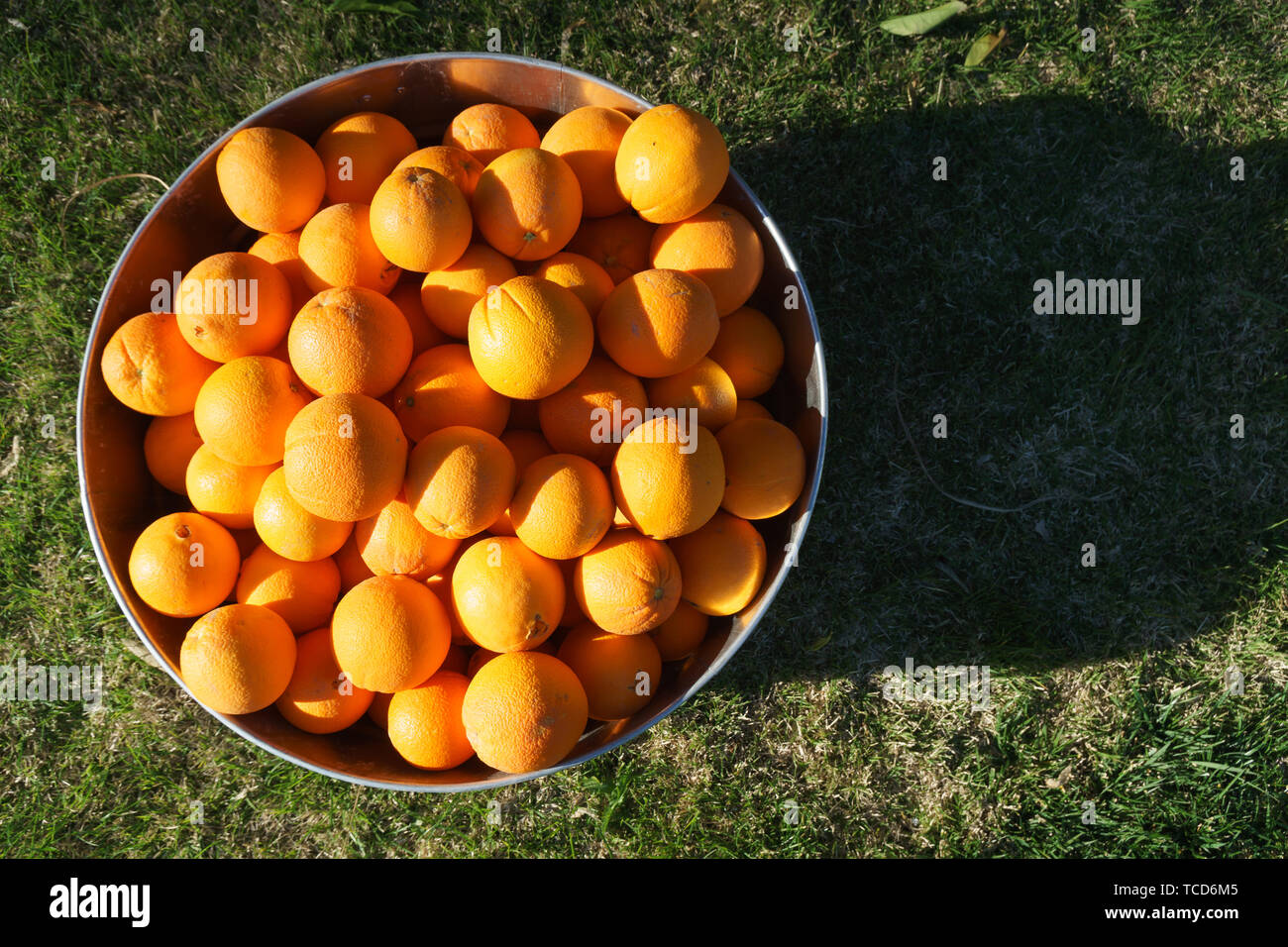 Orangen in verzinktem Metall Whirlpool Stockfoto