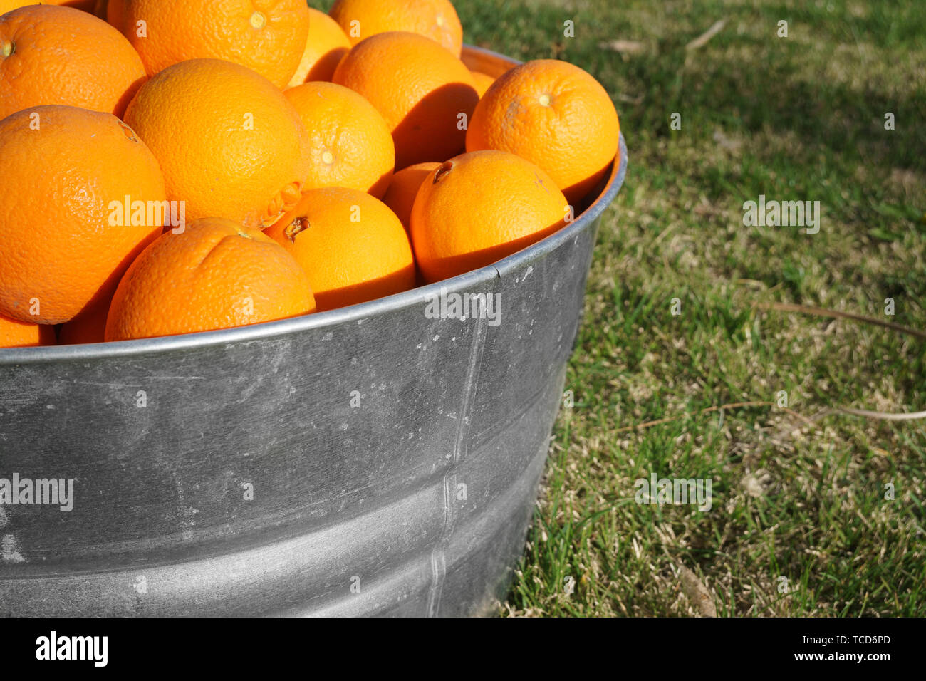 Orangen in verzinktem Metall Whirlpool Stockfoto