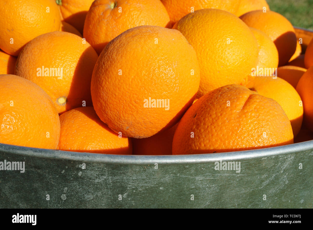 Orangen in verzinktem Metall Whirlpool Stockfoto