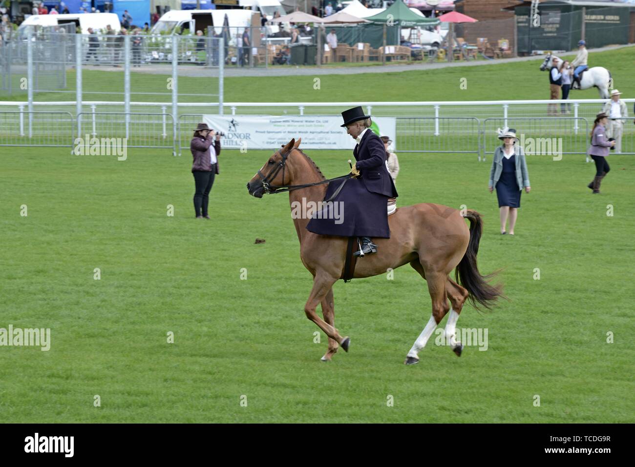 Frauen reiten Seite Sattel in einem Wettbewerb auf der Royal Welsh Frühlingsfest Stockfoto