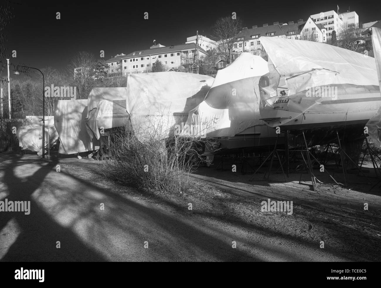 Boote mit schützenden Planen für Winter, Erikssdalslunden, Södermalm, Stockholm, Schweden, Skandinavien Stockfoto