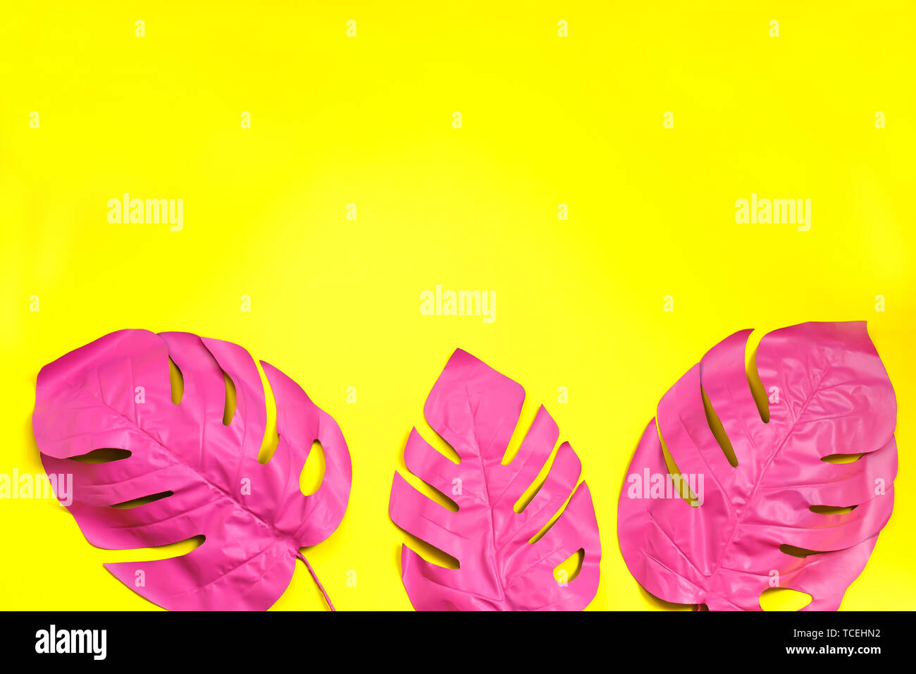 Drei Gemalt Der Von Tropischen Palmen Blatt Von Monstera Auf Gelben Hintergrund Fashion Pink Konzept Minimalismus Sommer Konzept Stockfotografie Alamy