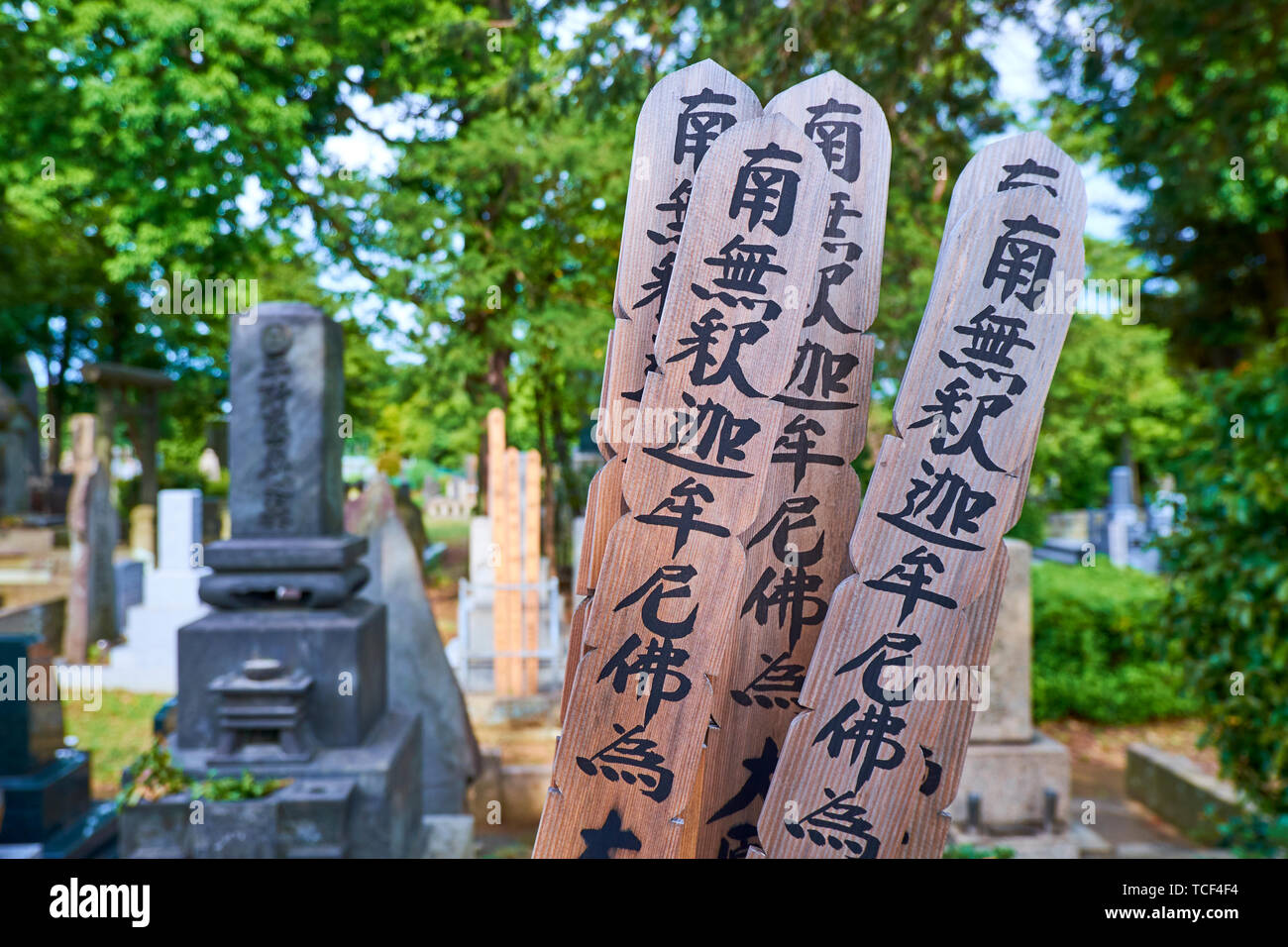 Alten, hölzernen Gedenktafeln in alten Yanaka Friedhof Park in Tokio, Japan. Stockfoto