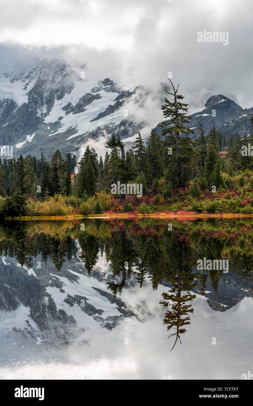 Berg Mt. Shuksan mit Reflexion in Bild See, Herbst Wald vor Gletscher mit Schnee, Eis und Felsen, Berg Baker-Snoqualmie National Fore Stockfoto