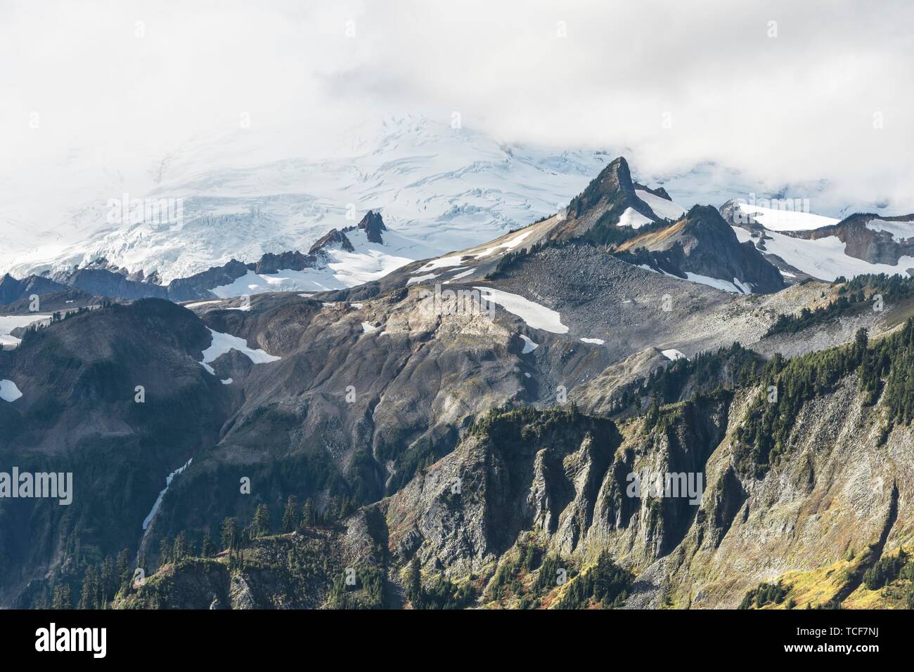 Berglandschaft, Mt. Bäcker mit Gletscher in Wolken, Mount Baker-Snoqualmie National Forest, Washington, USA, Nordamerika Stockfoto