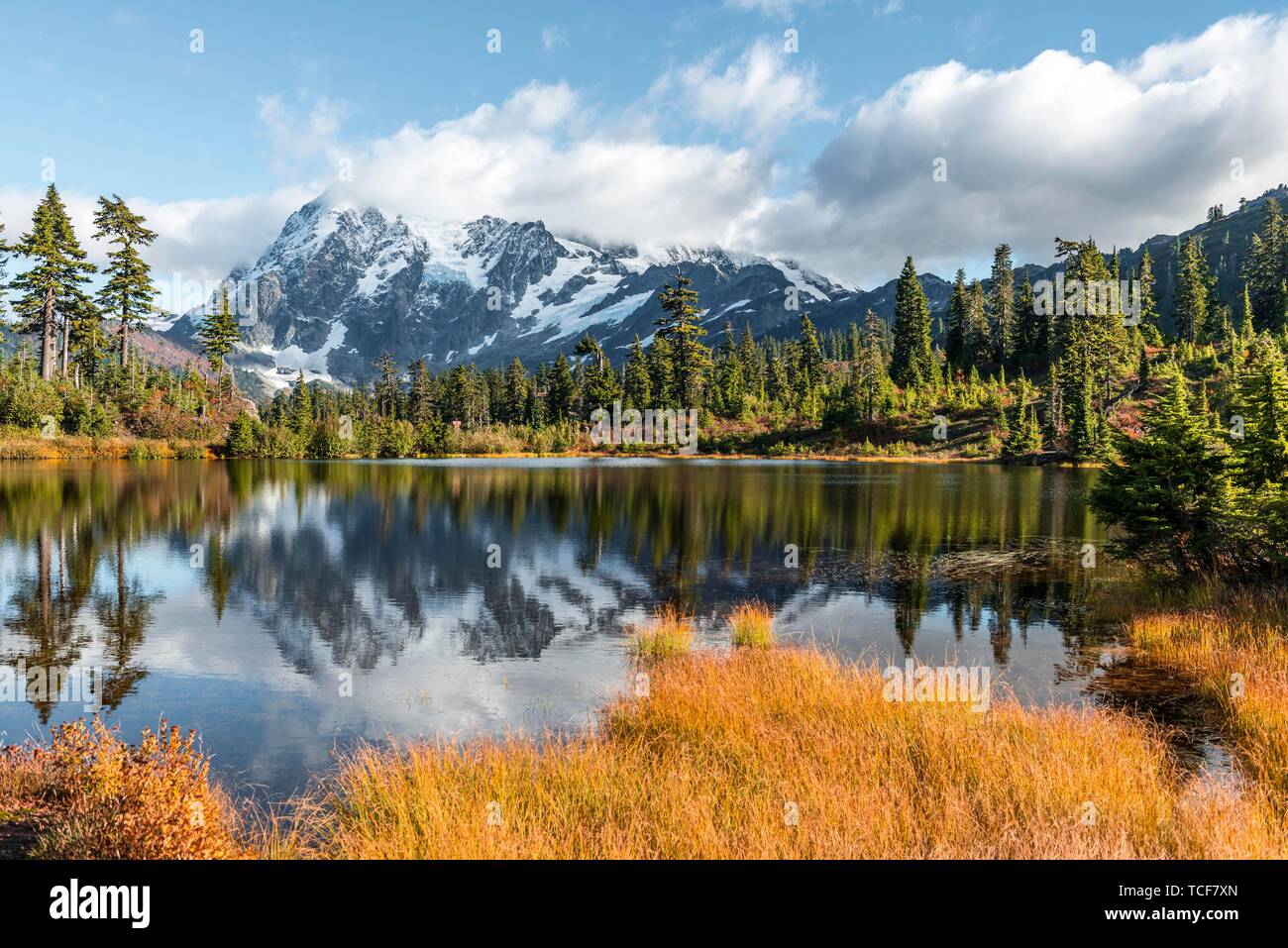 Berg Mt. Shuksan mit Reflexion in Bild See, Wald vor der Gletscher mit Schnee, Eis und Felsen, Berg Baker-Snoqualmie National Forest, Washin Stockfoto