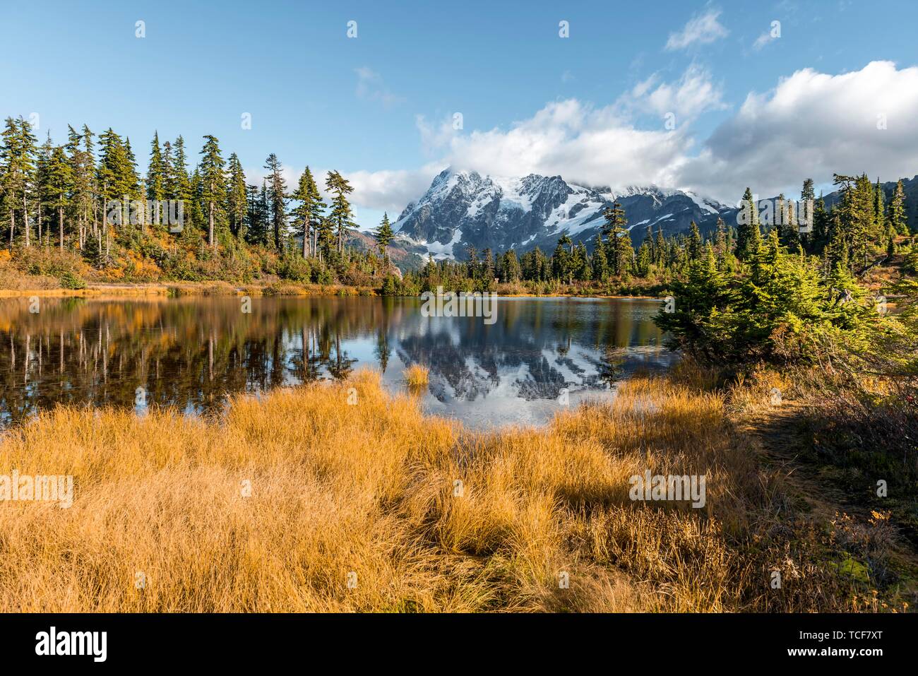 Berg Mt. Shuksan mit Reflexion in Bild See, Wald vor der Gletscher mit Schnee, Eis und Felsen, Berg Baker-Snoqualmie National Forest, Washin Stockfoto